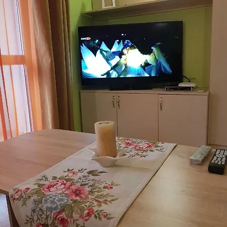 Orange Flower Apartment